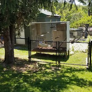 Natural Bridge Zoo - Red-handed Tamarin