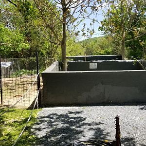Natural Bridge Zoo - Swan, alligator