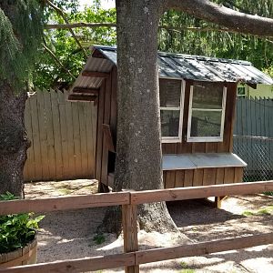 Natural Bridge Zoo - Chicken coop
