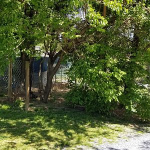Natural Bridge Zoo - "Breeding area"