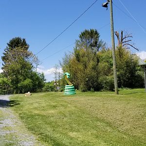 Natural Bridge Zoo - Path