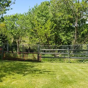 Natural Bridge Zoo - Unsigned, empty?