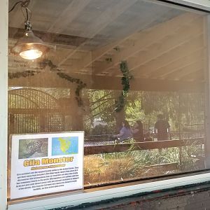 Natural Bridge Zoo - Gila monster