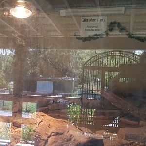 Natural Bridge Zoo - Gila monster