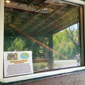 Natural Bridge Zoo - Burmese python