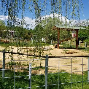 Natural Bridge Zoo - African elephant yard