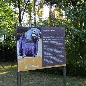 Lear's macaw signage - Belo Horizonte zoo