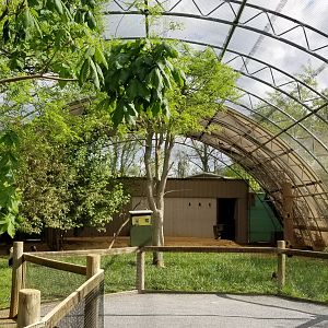 Virginia Safari Park - Inside aviary