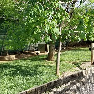 Virginia Safari Park - Inside aviary