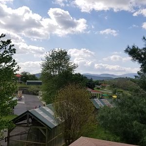 Virginia Safari Park - View from giraffe platform