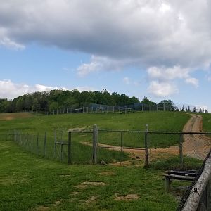 Virginia Safari Park - Cheetah breeding area up on hill
