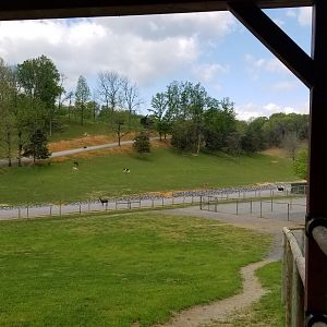 Virginia Safari Park - Entrance/exit from safari