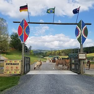 Virginia Safari Park - Entrance to safari