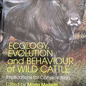 Ecology, Evolution and Behaviour of Wild Cattle: Implications for Conservation, by Mario Melletti