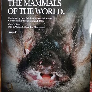 Handbook of the Mammals of the World – Volume 9 Bats