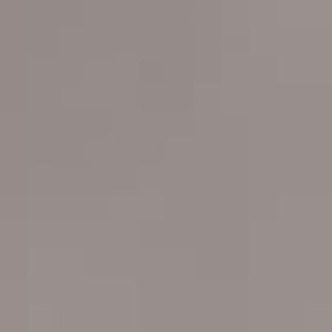 Black-and-white colobus