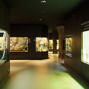 View in the reptile house, 2020-09-20