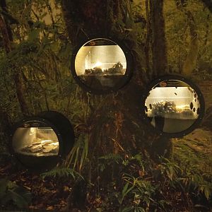 Small invertebrate terrariums, 2020-09-20