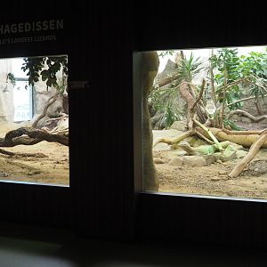 Komodo dragon exhibit, 2020-09-20