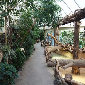 Reptile house winter garden, 2020-09-20