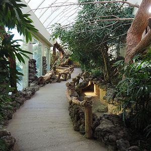 Reptile house winter garden, 2020-09-20