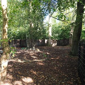 Second Malayan tapir paddock, 2020-09-20