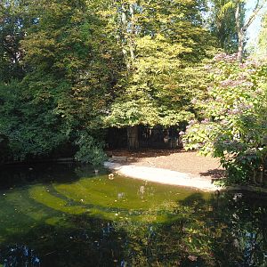 First Malayan tapir paddock, 2020-09-20