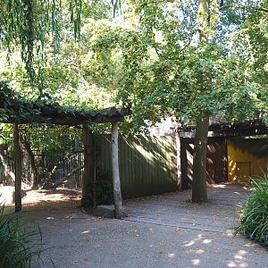 Malayan tapir viewing areas, 2020-09-20