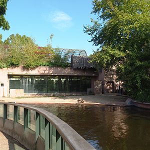 Hippopotamus exhibit and house, 2020-09-20