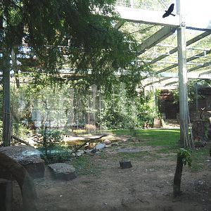 Large aviary next to the hippopotamus house, 2020-09-20