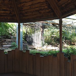 Large aviary next to the hippopotamus house, 2020-09-20