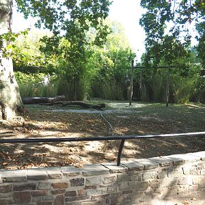 Mountain bongo paddock, 2020-09-20