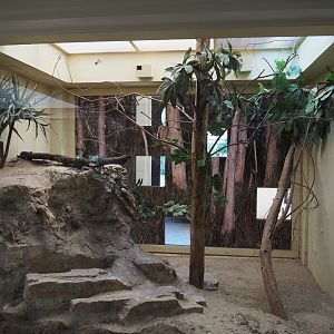 Zebra finch aviary, 2020-09-20