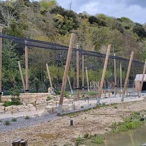 Coastal creek aviary