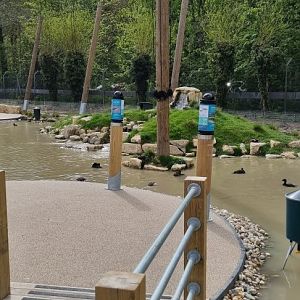 Coastal creek aviary