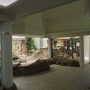 Aviary room in the bird house, 2020-09-20