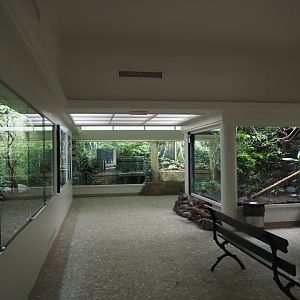 Aviary room in the bird house, 2020-09-20