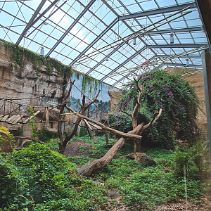 Indoor enclosure for chimpanzees