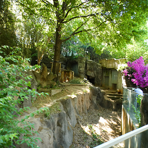 Apr. 2021 - Asian Forest - Giant Panda Left Exhibit