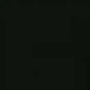 Asian small clawed otter