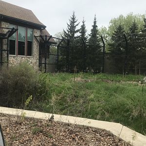 Polar Bear Odyssey- left side of left polar bear enclosure.