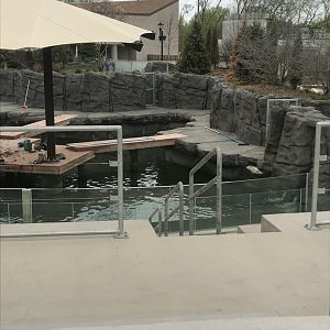 Como harbor- right side of main habitat