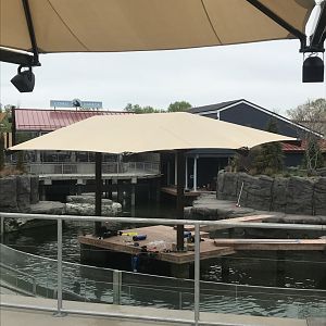 Como harbor- left side of main habitat