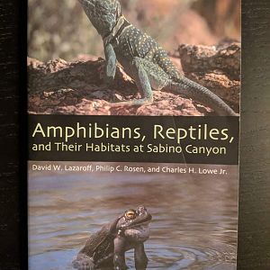 Amphibians, Reptiles, and their Habitats at Sabino Canyon