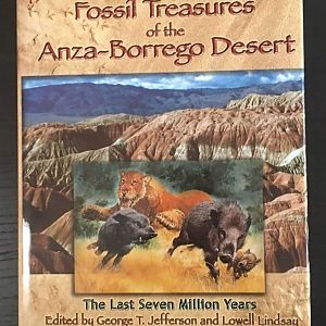 Fossil Treasures of the Anza-Borrego Desert
