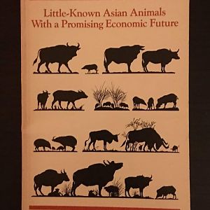 Little-Known Asian Animals with a Promising Economic Future