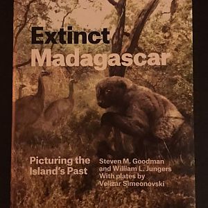 Extinct Madagascar: Picturing the Island's Past