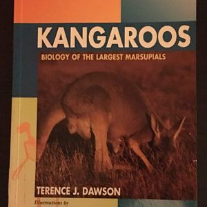 Kangaroos Biology of the largest marsupials