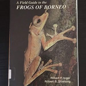 A Field Guide to the Frogs of Borneo