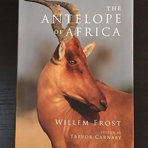 The Antelope of Africa